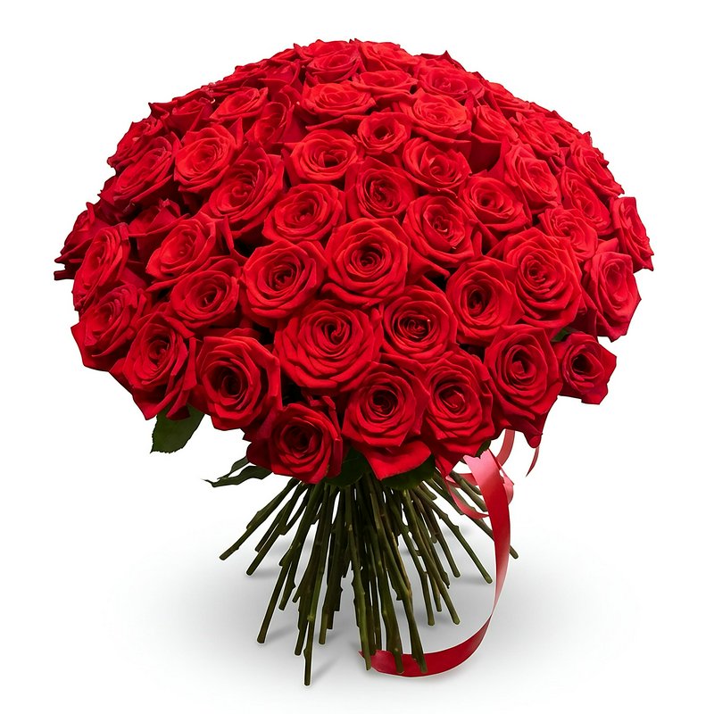 75 roses