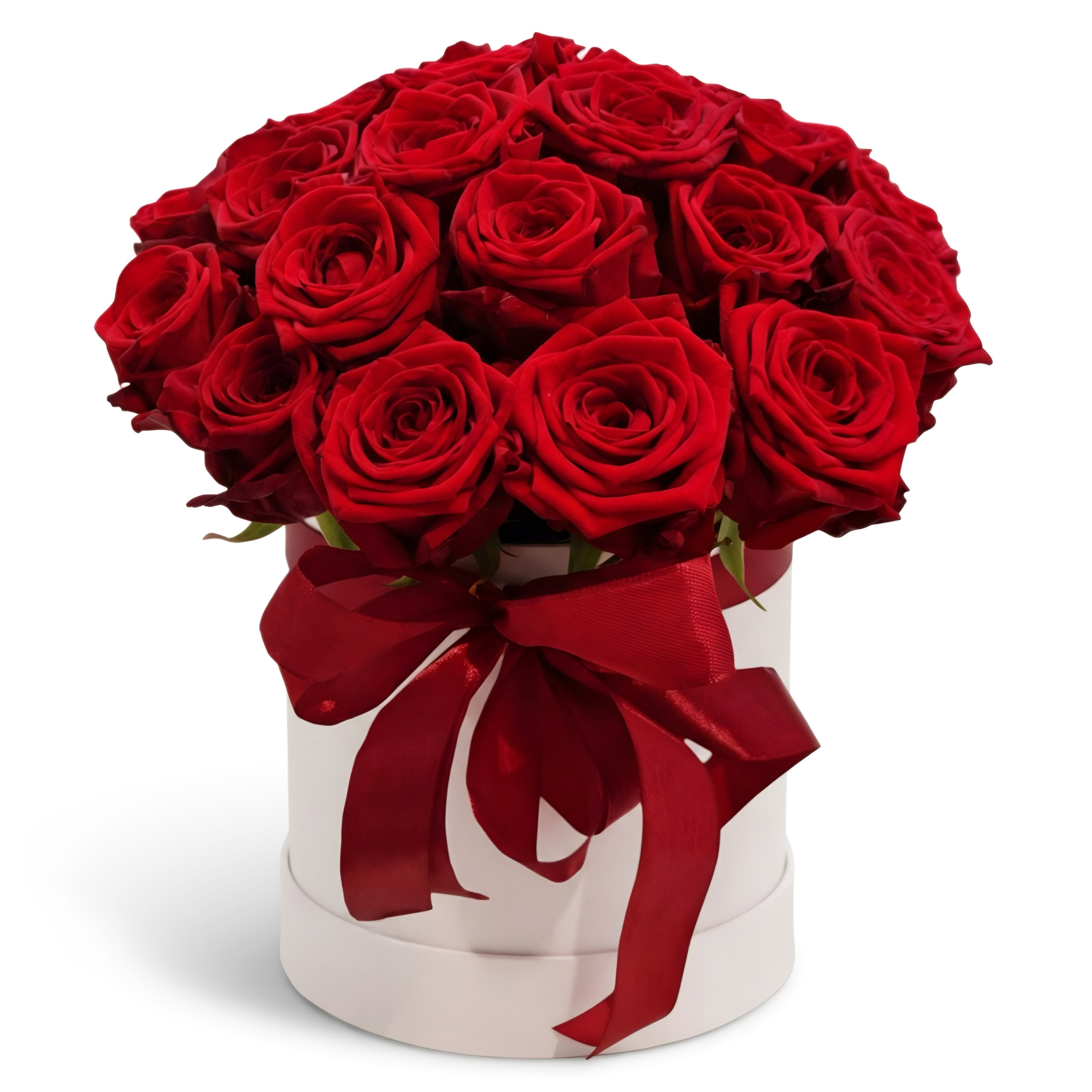 Red roses in a gift box